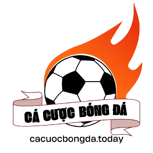 trang cá độ bóng đá
