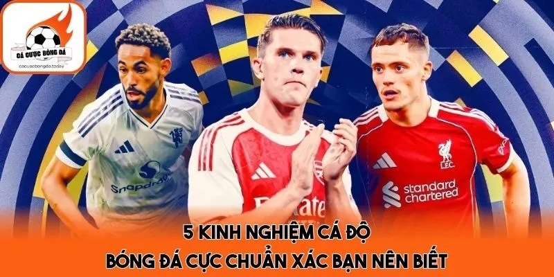 5 Kinh Nghiệm Cá Độ Bóng Đá Cực Chuẩn Xác Bạn Nên Biết