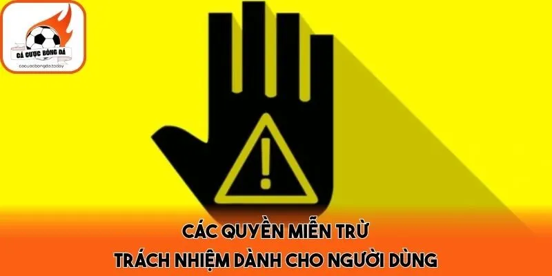 Các quyền miễn trừ trách nhiệm dành cho người dùng