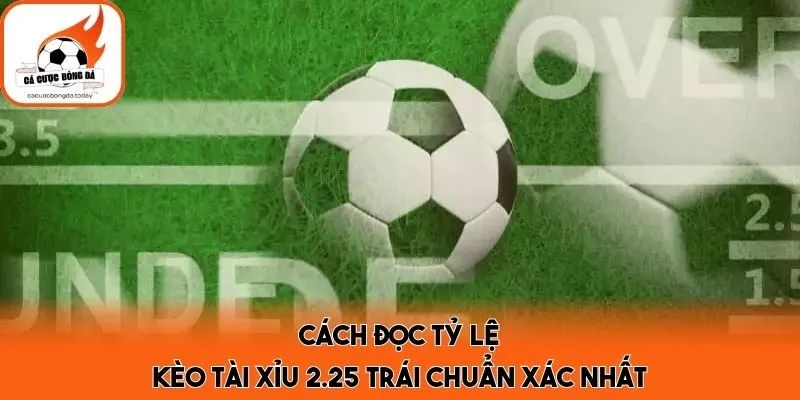 Cách đọc tỷ lệ kèo tài xỉu 2.25 trái chuẩn xác nhất