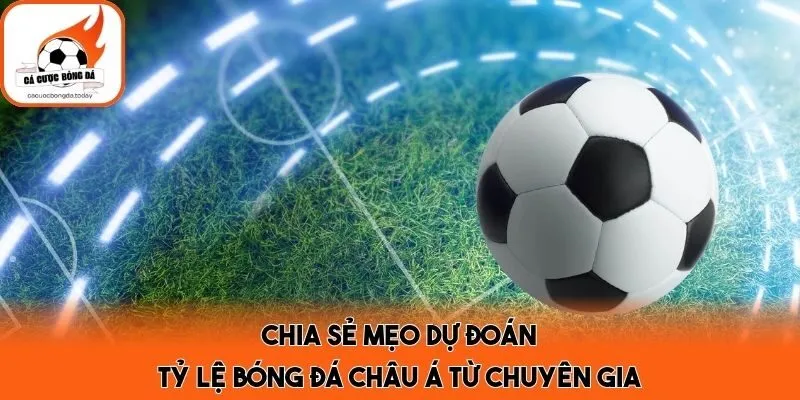 Chia sẻ mẹo dự đoán tỷ lệ bóng đá châu Á từ chuyên gia