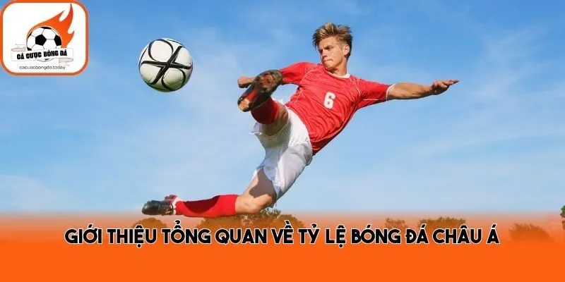 Giới thiệu tổng quan về tỷ lệ bóng đá châu Á