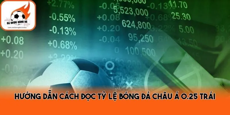 Hướng dẫn cách đọc tỷ lệ bóng đá châu Á 0.25 trái
