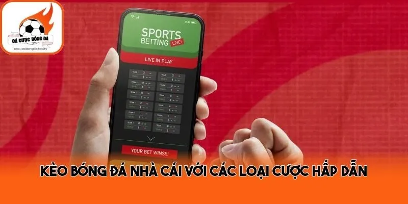 Kèo bóng đá nhà cái với các loại cược hấp dẫn