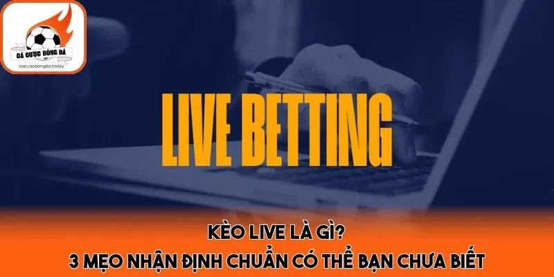 Kèo Live Là Gì? 3 Mẹo Nhận Định Chuẩn Có Thể Bạn Chưa Biết