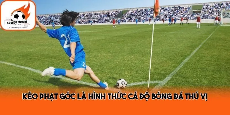 Kèo phạt góc là hình thức cá độ bóng đá thú vị