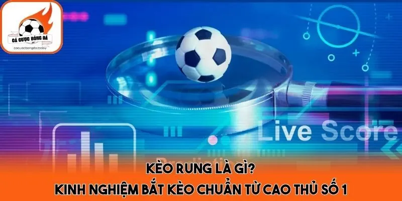 Kèo Rung Là Gì? Kinh Nghiệm Bắt Kèo Chuẩn Từ Cao Thủ Số 1