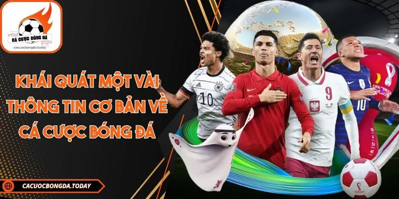 Khái quát một vài thông tin cơ bản về Cá cược bóng đá