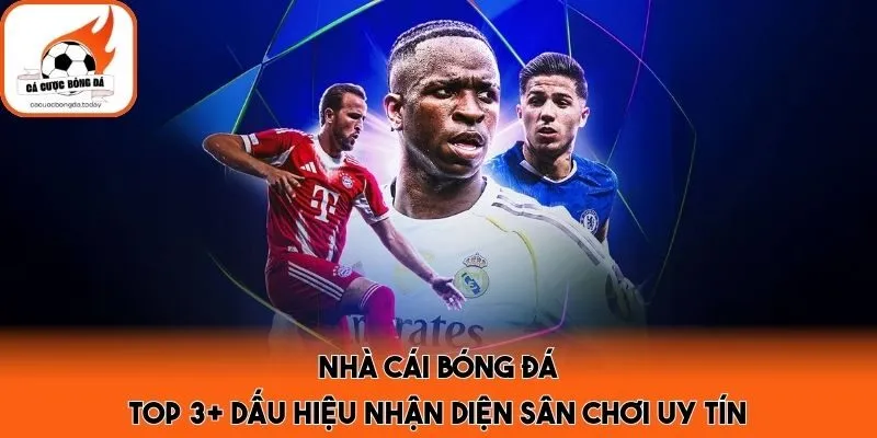 Nhà Cái Bóng Đá - Top 3+ Dấu Hiệu Nhận Diện Sân Chơi Uy Tín