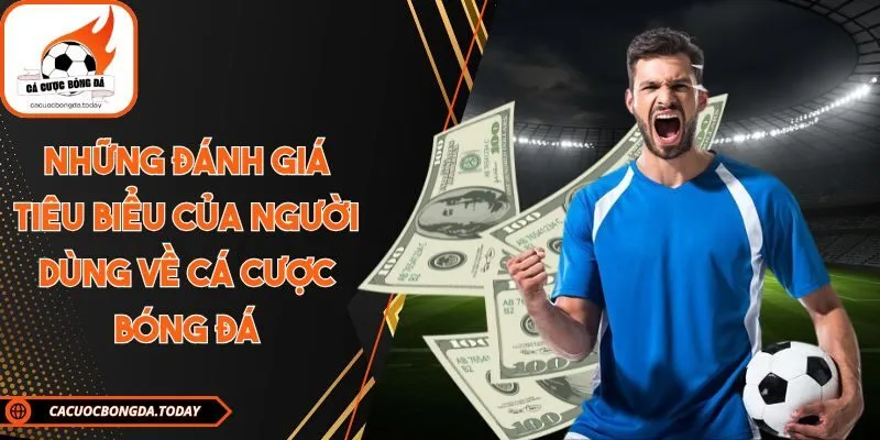 Những đánh giá tiêu biểu của người dùng về Cá cược bóng đá