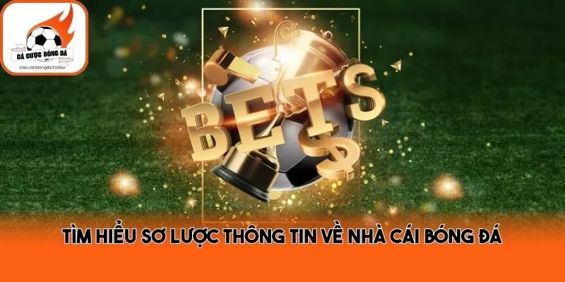 Tìm hiểu sơ lược thông tin về nhà cái bóng đá
