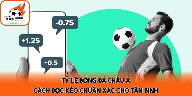 Tỷ Lệ Bóng Đá Châu Á - Cách Đọc Kèo Chuẩn Xác Cho Tân Binh